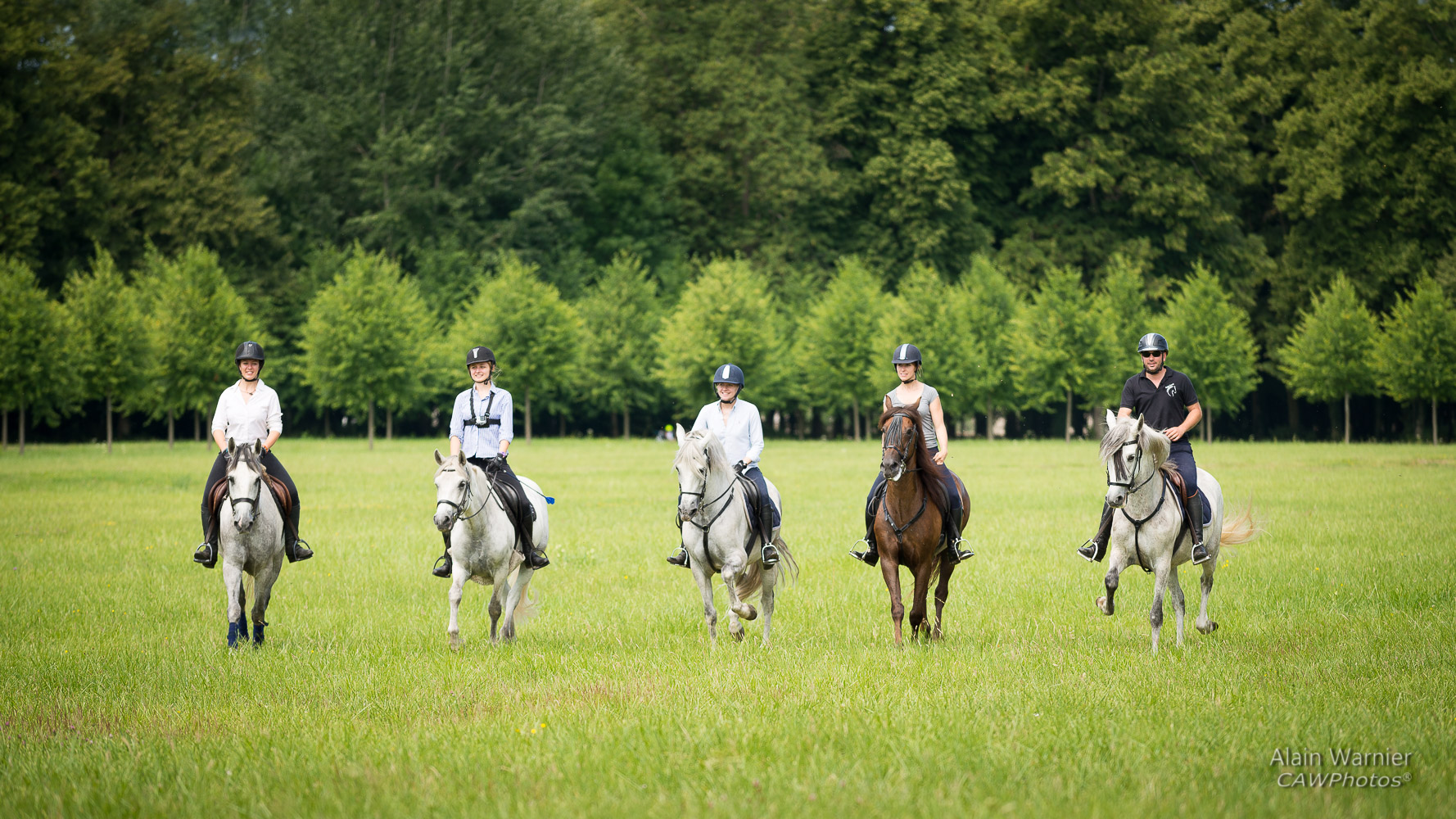 randonnee cheval vallee de chevreuse